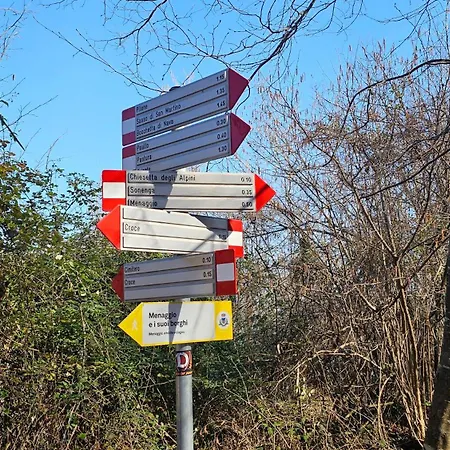 Foresta Menaggio
